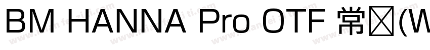 BM HANNA Pro OTF 常规(Western)字体转换